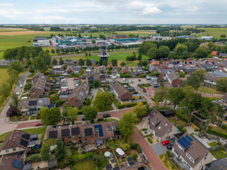 Patrijs 2 Grijpskerk - Afbeelding 65.jpg