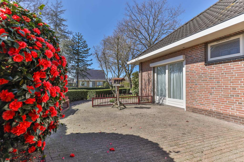 Pauloane 12 Harkema - Afbeelding 59.jpg