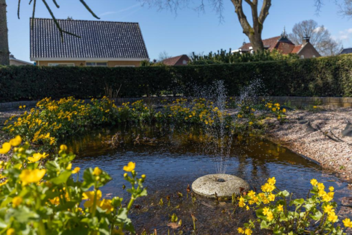 Pauloane 12 Harkema - Afbeelding 57.jpg