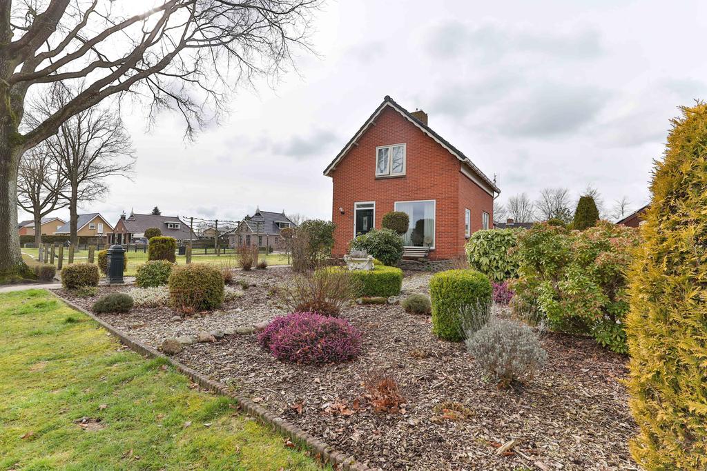 Pauloane 15 Harkema - Afbeelding 11.jpg