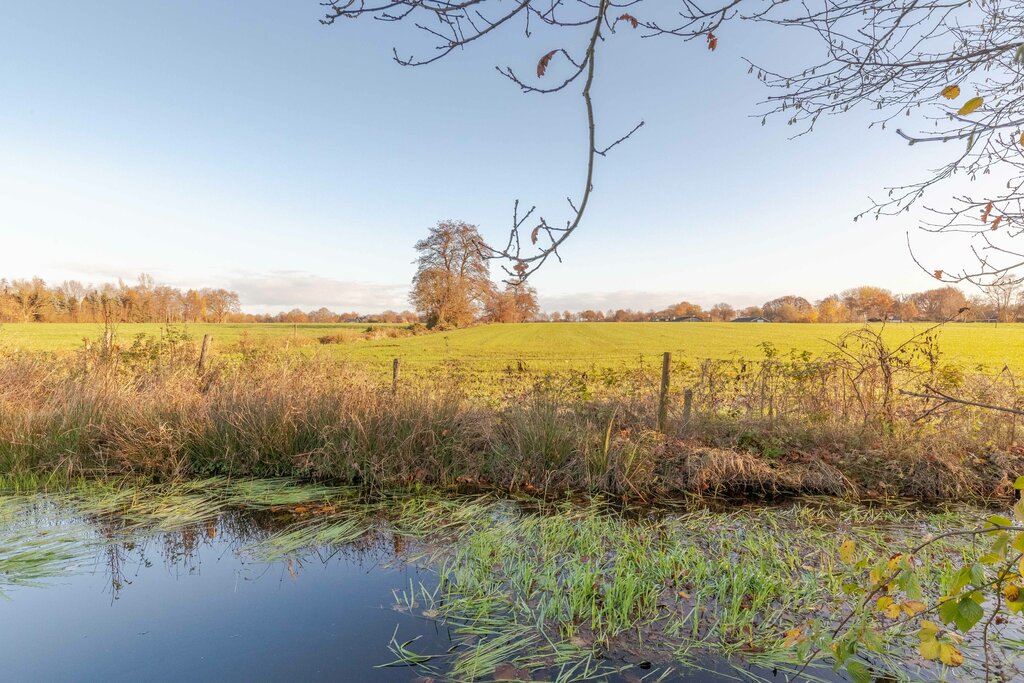 Pauloane 16 Harkema - Afbeelding 27.jpg