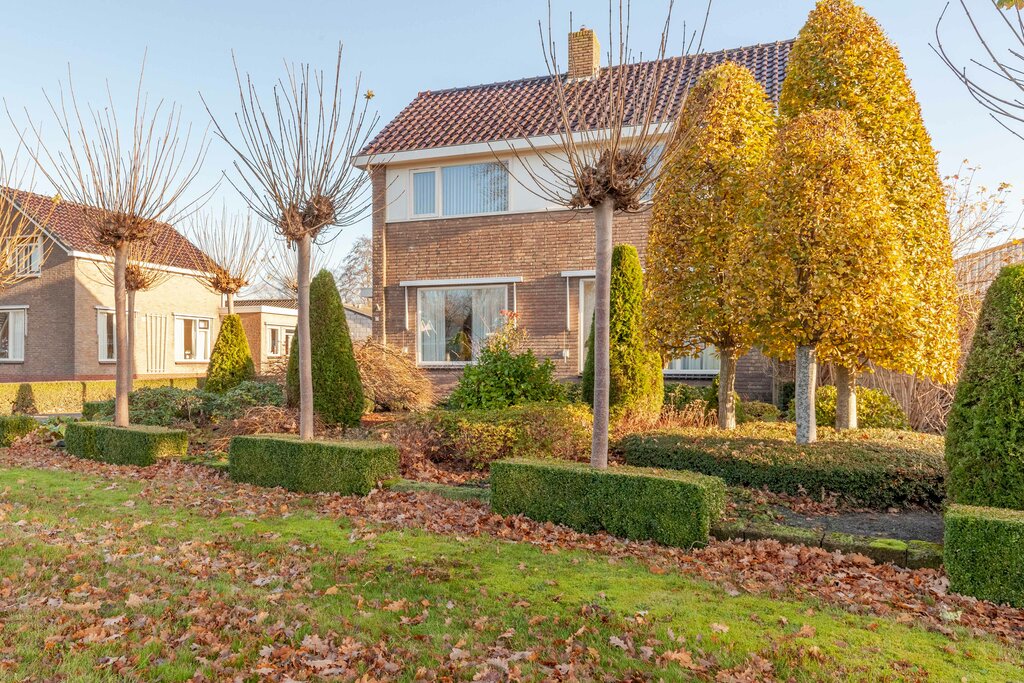 Pauloane 16 Harkema - Afbeelding 6.jpg