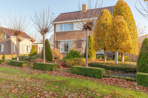 Pauloane 16 Harkema - Afbeelding 6.jpg