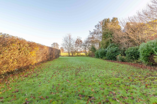 Pauloane 16 Harkema - Afbeelding 16.jpg