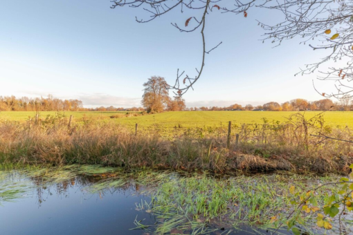 Pauloane 16 Harkema - Afbeelding 27.jpg