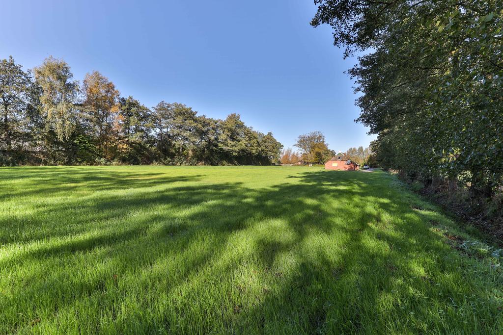 Peebos 10 Opende - Afbeelding 20.jpg