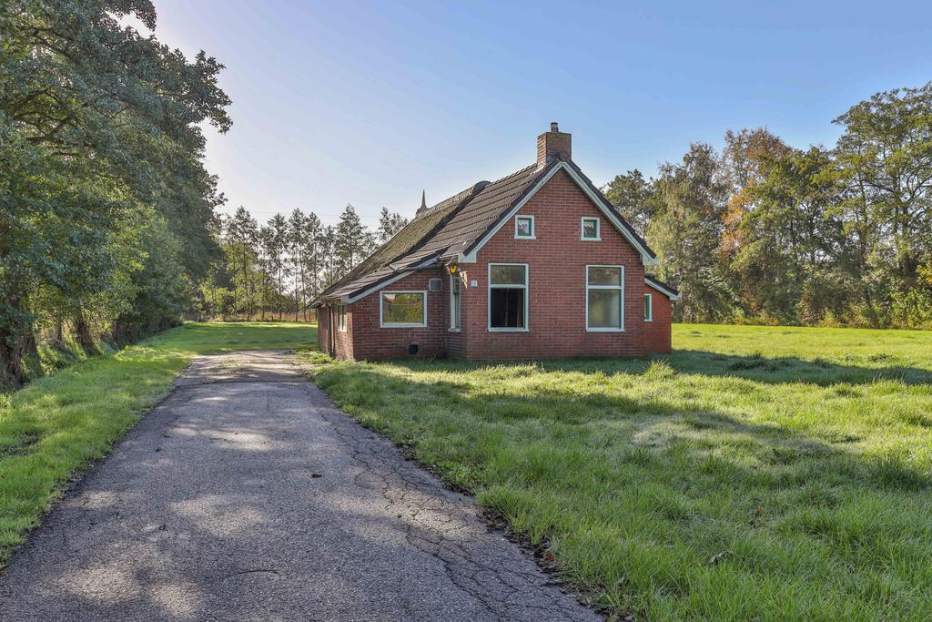 Peebos 10 Opende - Hoofdafbeelding.jpg