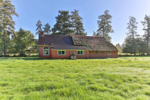 Peebos 10 Opende - Afbeelding 22.jpg