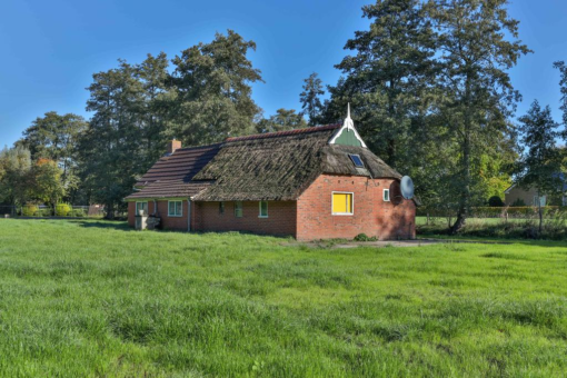 Peebos 10 Opende - Afbeelding 23.jpg