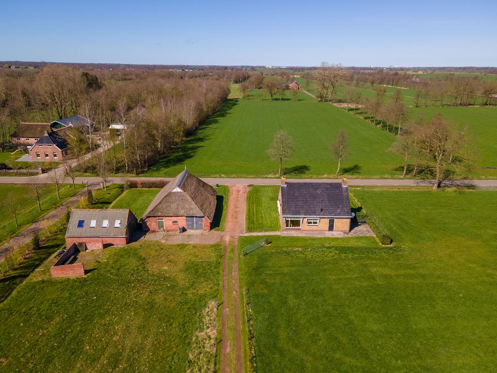 Peebos 16 Doezum - Afbeelding 3.jpg