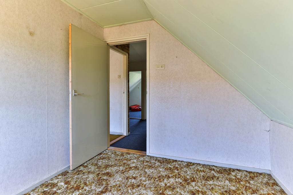 Peebos 16 Doezum - Afbeelding 41.jpg