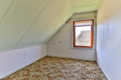 Peebos 16 Doezum - Afbeelding 44.jpg