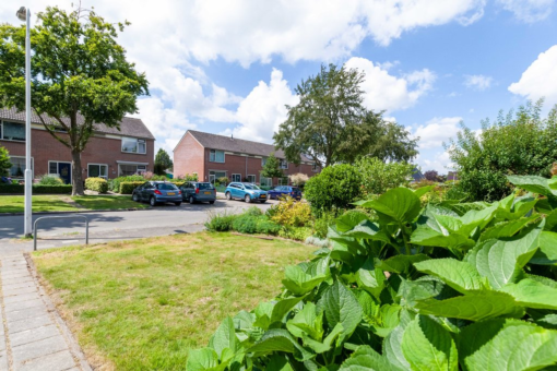 Piter Jellesstrjitte 30 Boelenslaan - Afbeelding 19.jpg