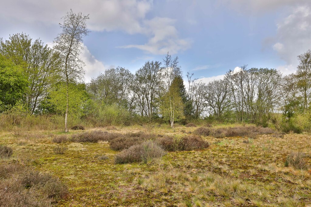 Poelbuurt 6 Opende - Afbeelding 21.jpg