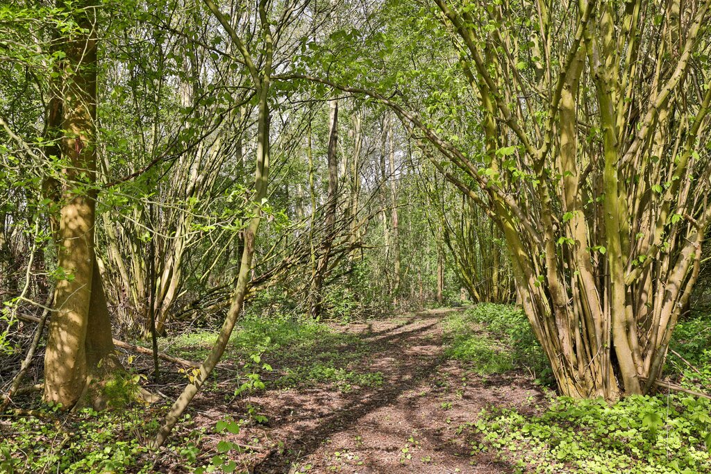 Poelbuurt 6 Opende - Afbeelding 29.jpg