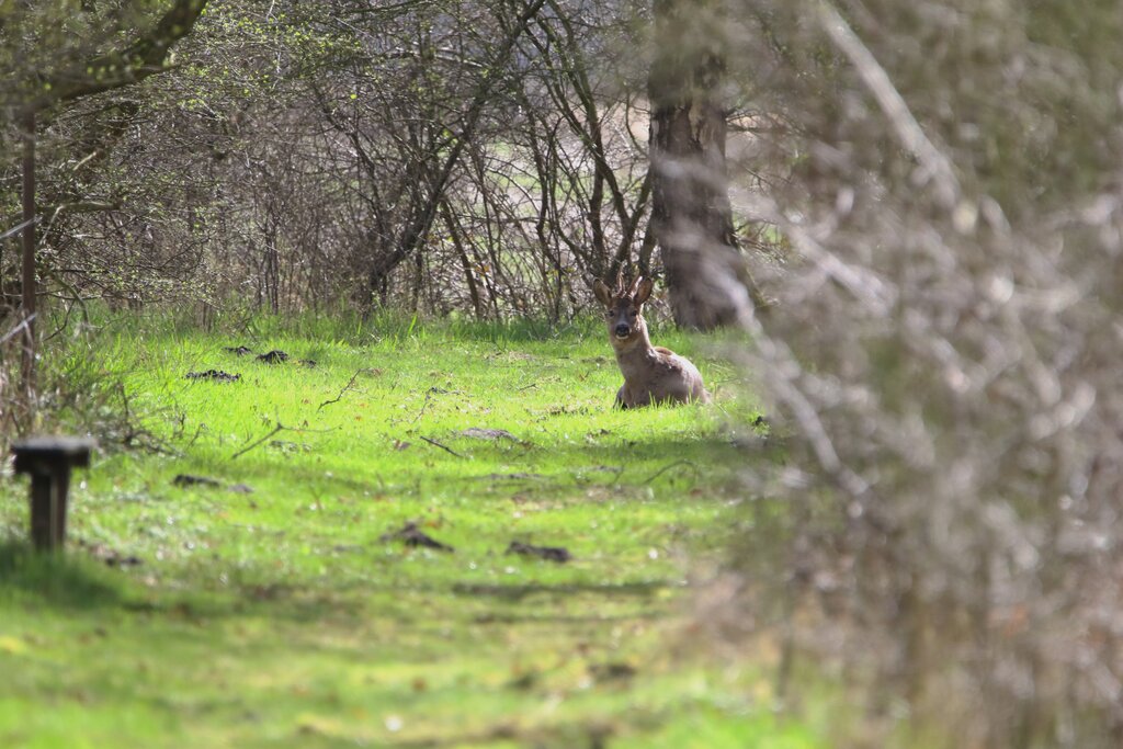 Poelbuurt 6 Opende - Afbeelding 57.jpg
