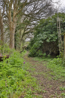 Poelbuurt 6 Opende - Afbeelding 53.jpg