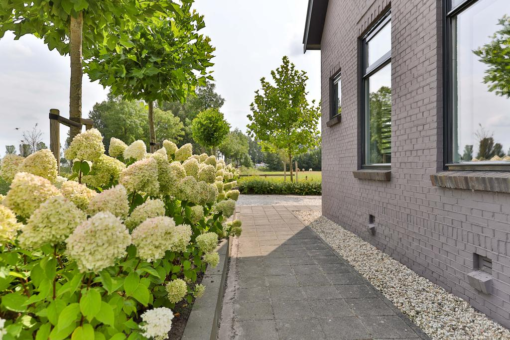 Poelweg 17 Grijpskerk - Afbeelding 70.jpg