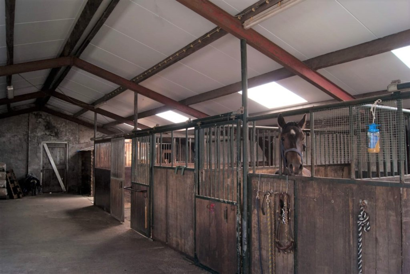 Provincialeweg 13 Sebaldeburen - Afbeelding 3.jpg