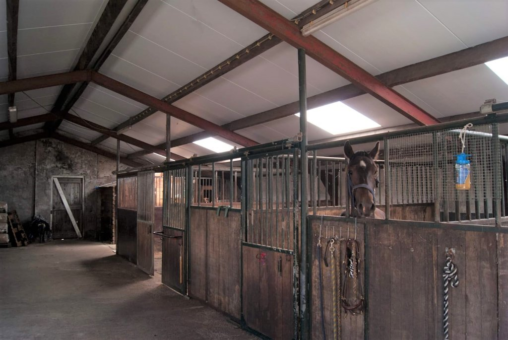 Provincialeweg 13 Sebaldeburen - Afbeelding 3.jpg