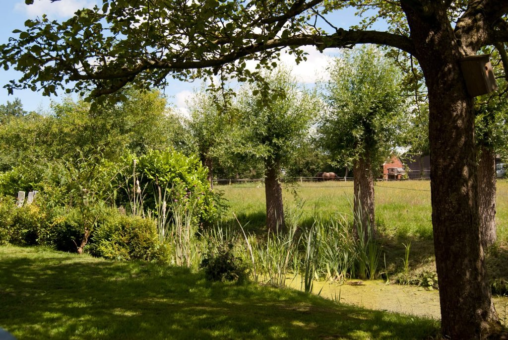 Provincialeweg 13 Sebaldeburen - Afbeelding 58.jpg