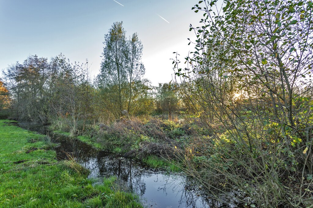 Provincialeweg 31 Kornhorn - Afbeelding 20.jpg