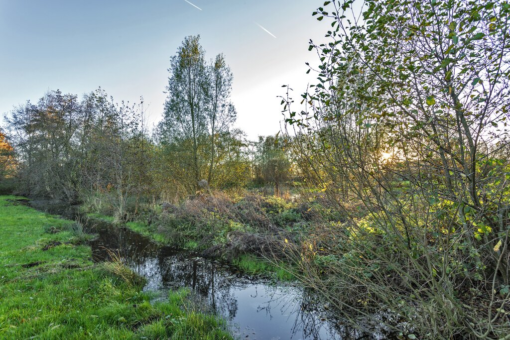 Provincialeweg 31 Kornhorn - Afbeelding 20.jpg