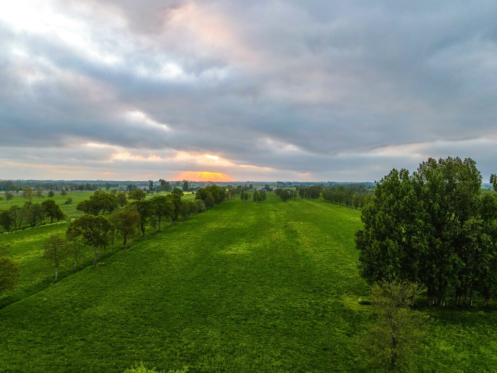 Provincialeweg 47 Doezum - Afbeelding 66.jpg