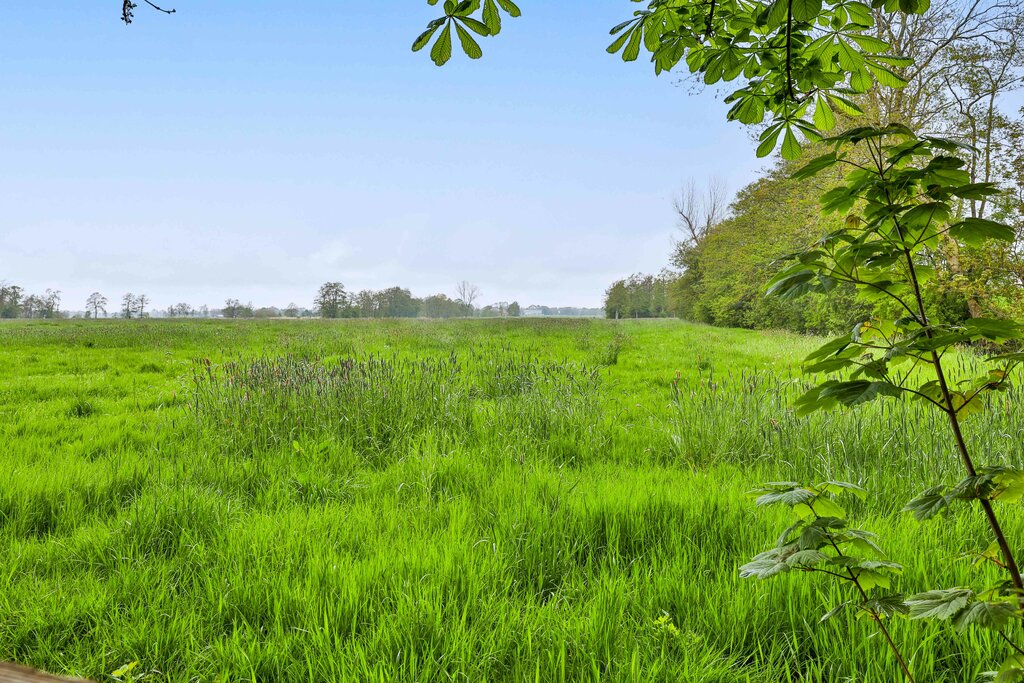 Provincialeweg 67 Sebaldeburen - Afbeelding 26.jpg
