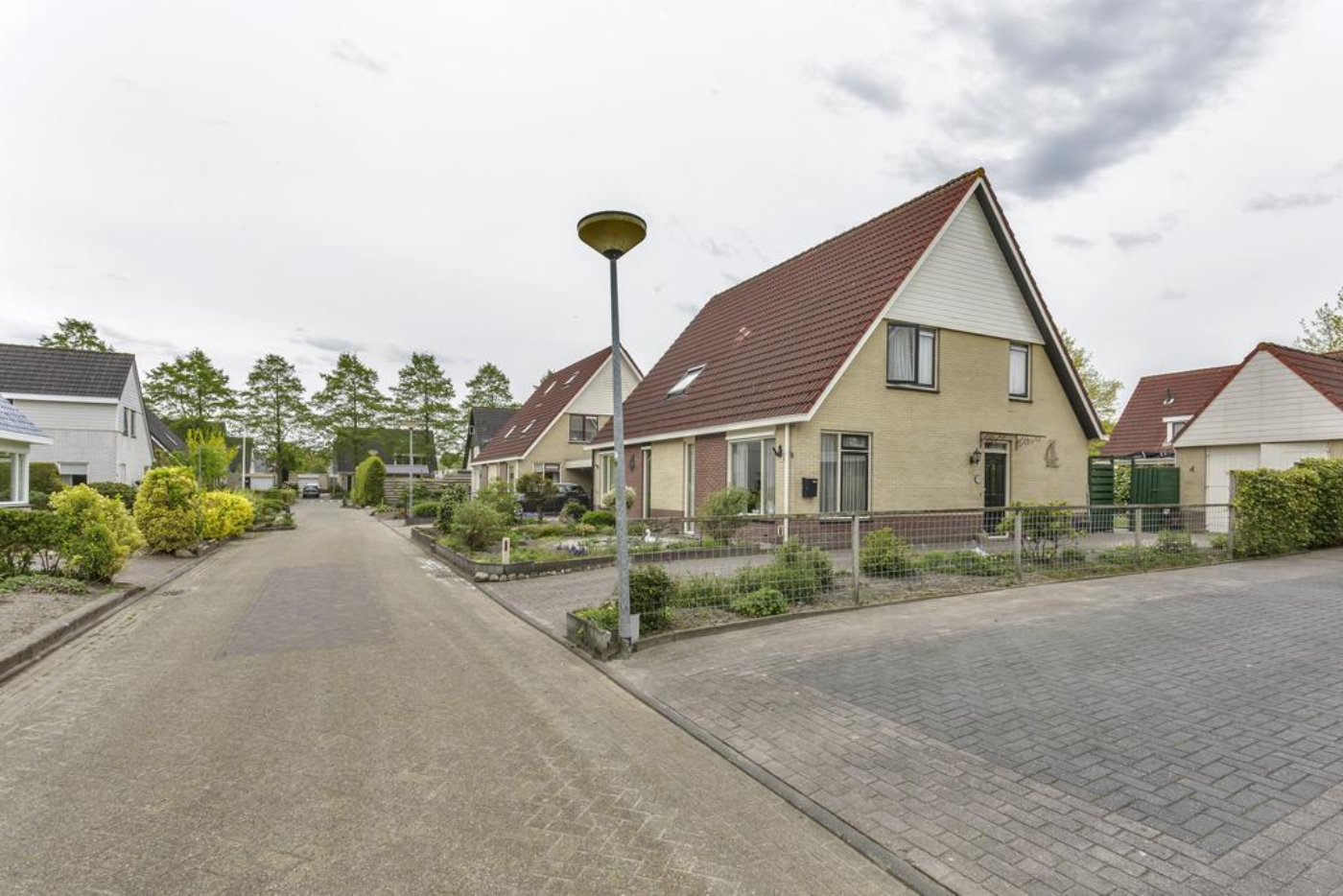 Ridderspoor 6 Grootegast - Afbeelding 3.jpg