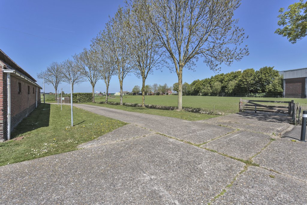 Sarabos 4 Stroobos - Afbeelding 17.jpg