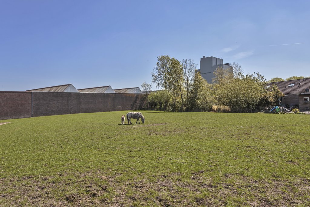 Sarabos 4 Stroobos - Afbeelding 46.jpg