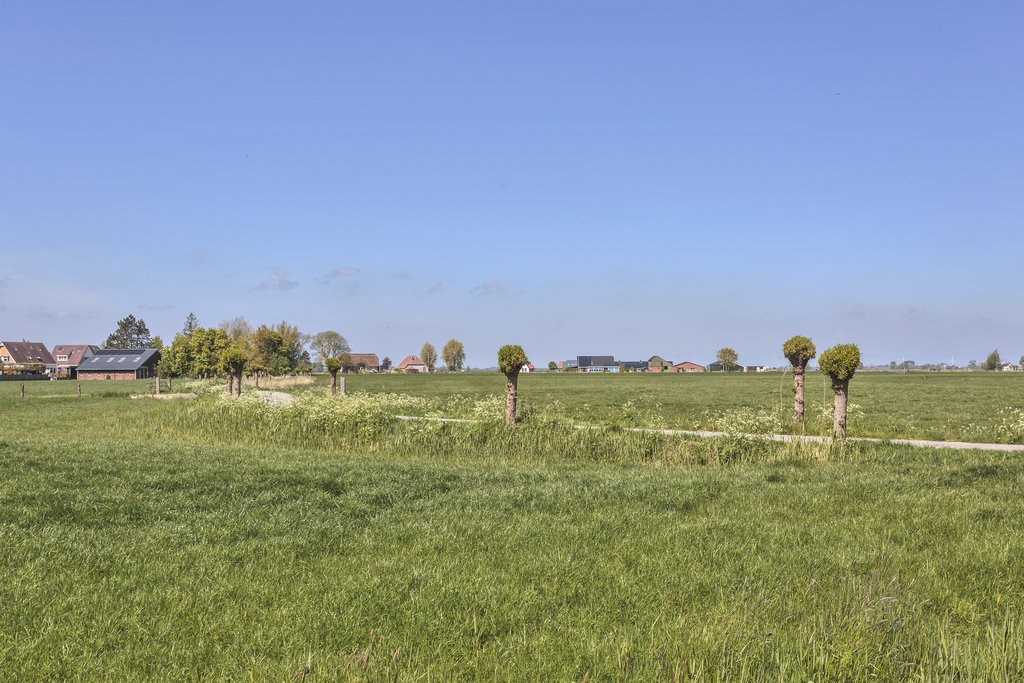 Sarabos 4 Stroobos - Afbeelding 49.jpg