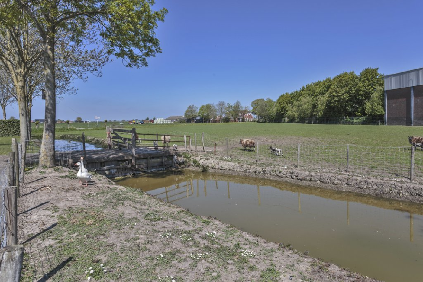 Sarabos 4 Stroobos - Afbeelding 5.jpg