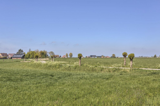 Sarabos 4 Stroobos - Afbeelding 49.jpg