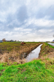 Sarabos 9 Stroobos - Afbeelding 11.jpg