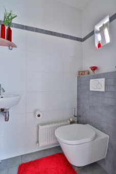 Scheltingalan 5 Bakkeveen - Afbeelding 35.jpg