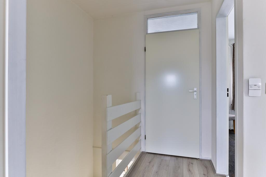 Scholekster 15 Grootegast - Afbeelding 22.jpg