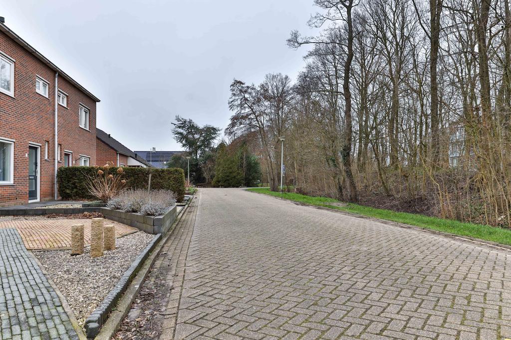 Scholekster 15 Grootegast - Afbeelding 38.jpg