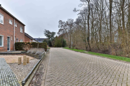 Scholekster 15 Grootegast - Afbeelding 38.jpg