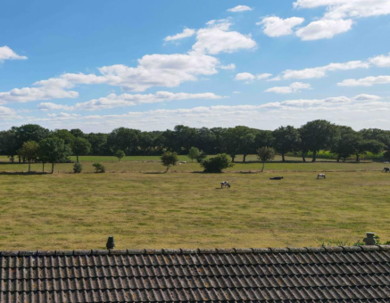 Sjallemastraat 23 Opende - Hoofdafbeelding.jpg