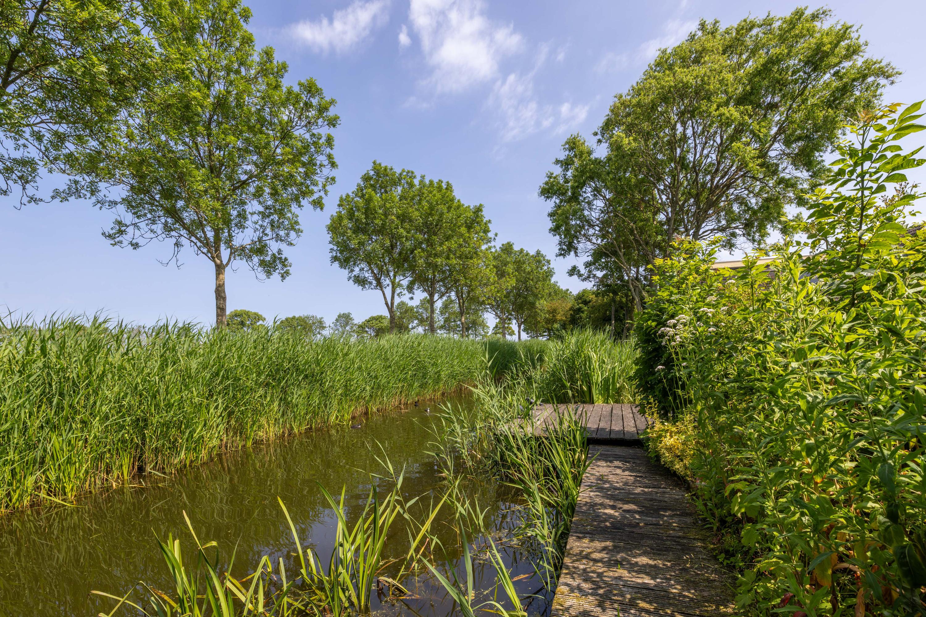 Skûlestrjitte 33 Mitselwier - Afbeelding 64.jpg