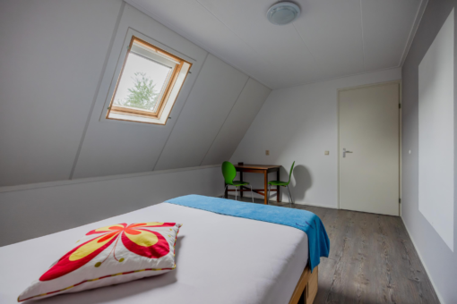 Skûlestrjitte 33 Mitselwier - Afbeelding 62.jpg