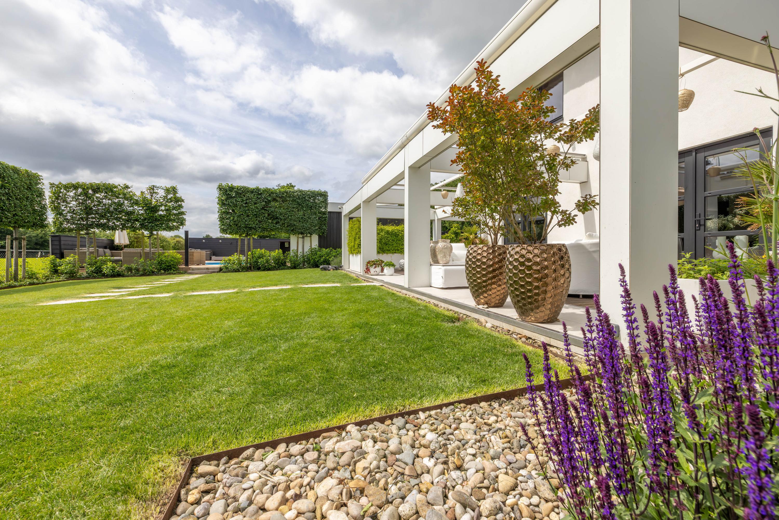 Skieppedrifte 5 Drogeham - Afbeelding 60.jpg