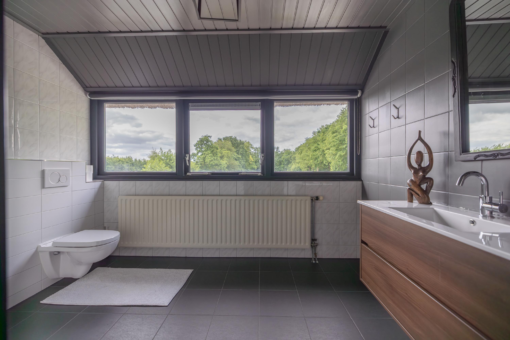 Skieppedrifte 5 Drogeham - Afbeelding 43.jpg