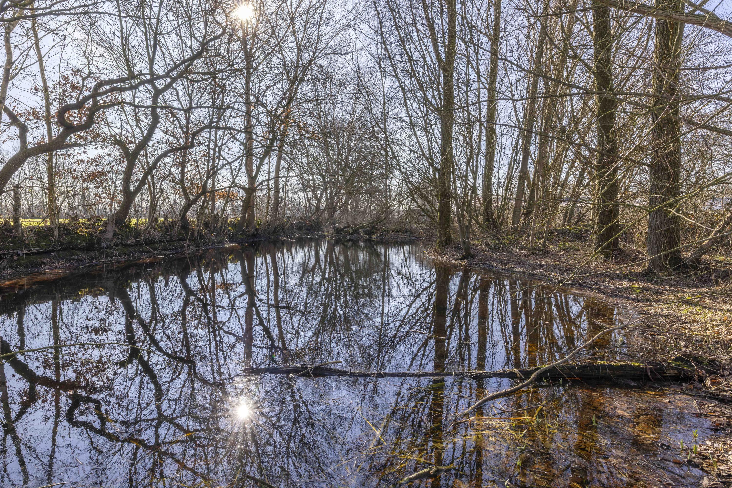 Skieppedrifte 9a Drogeham - Afbeelding 86.jpg