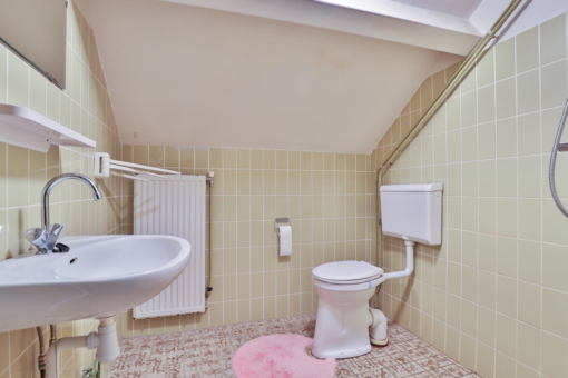 Skipfeartsein 36 Metslawier - Afbeelding 30.jpg