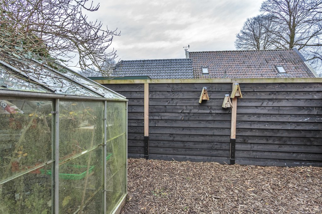 Skoalikkers 14 Augustinusga - Afbeelding 18.jpg