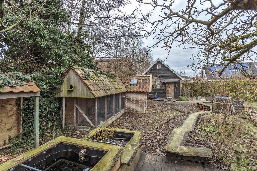 Skoalikkers 14 Augustinusga - Afbeelding 4.jpg