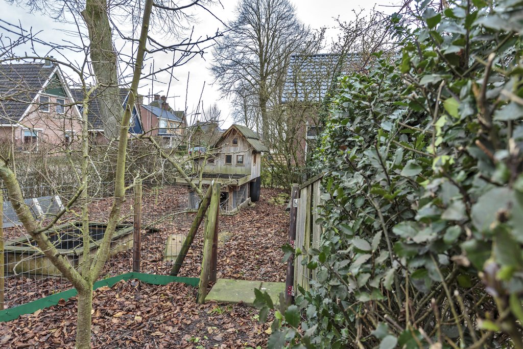 Skoalikkers 14 Augustinusga - Afbeelding 8.jpg